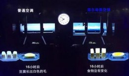 新鲜空气爆料怎么做视频,打造独特视频内容的秘诀解析